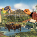 The Vibrant Literary Scene of Conroe, TX